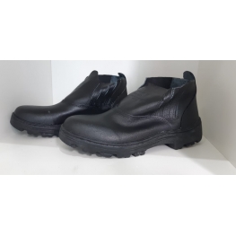 Bota